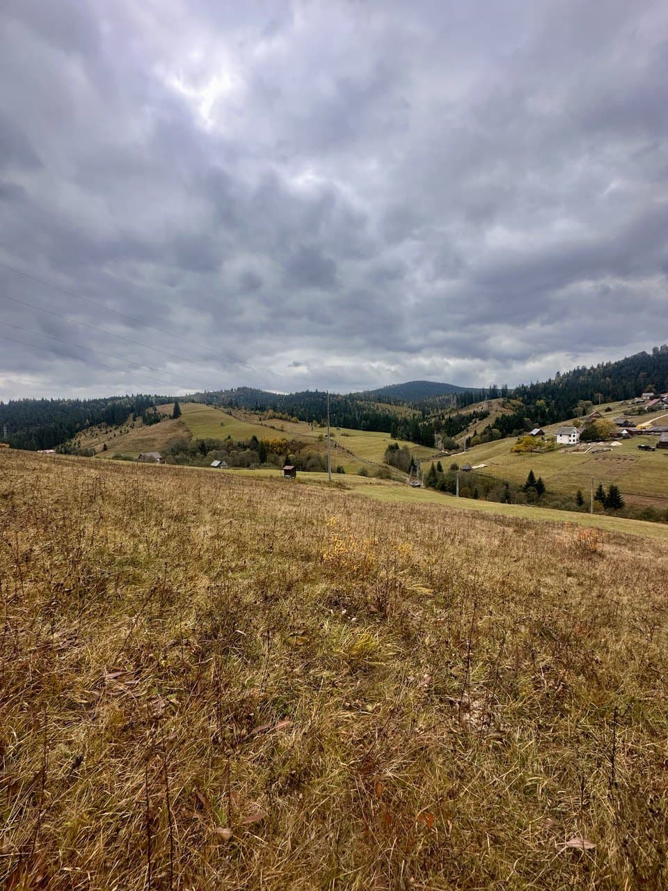 OS-9832717 фото 1